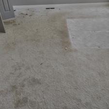 Heavy Pet Stain Removal in Huntsville, AL